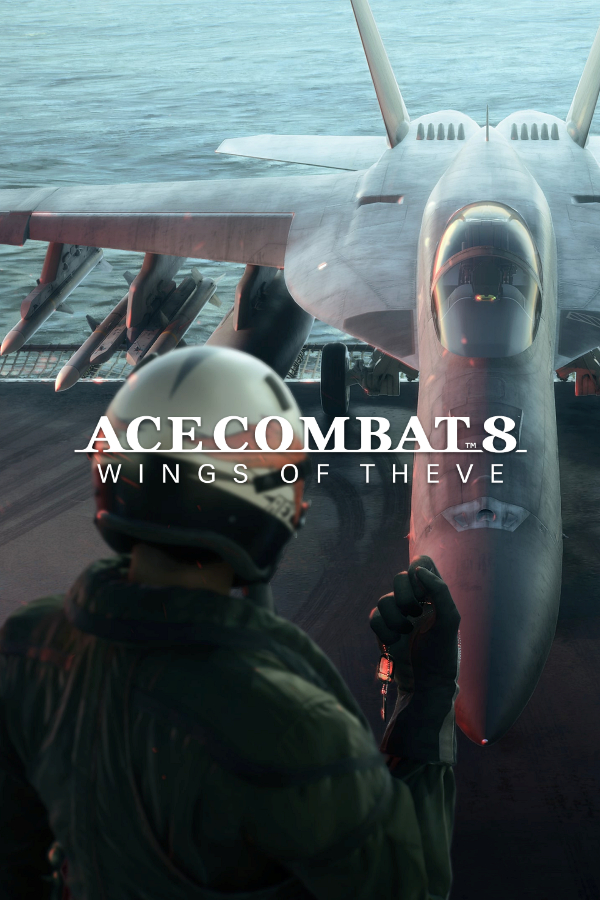 ACE COMBAT 8: WINGS OF THEVE Edição Deluxe